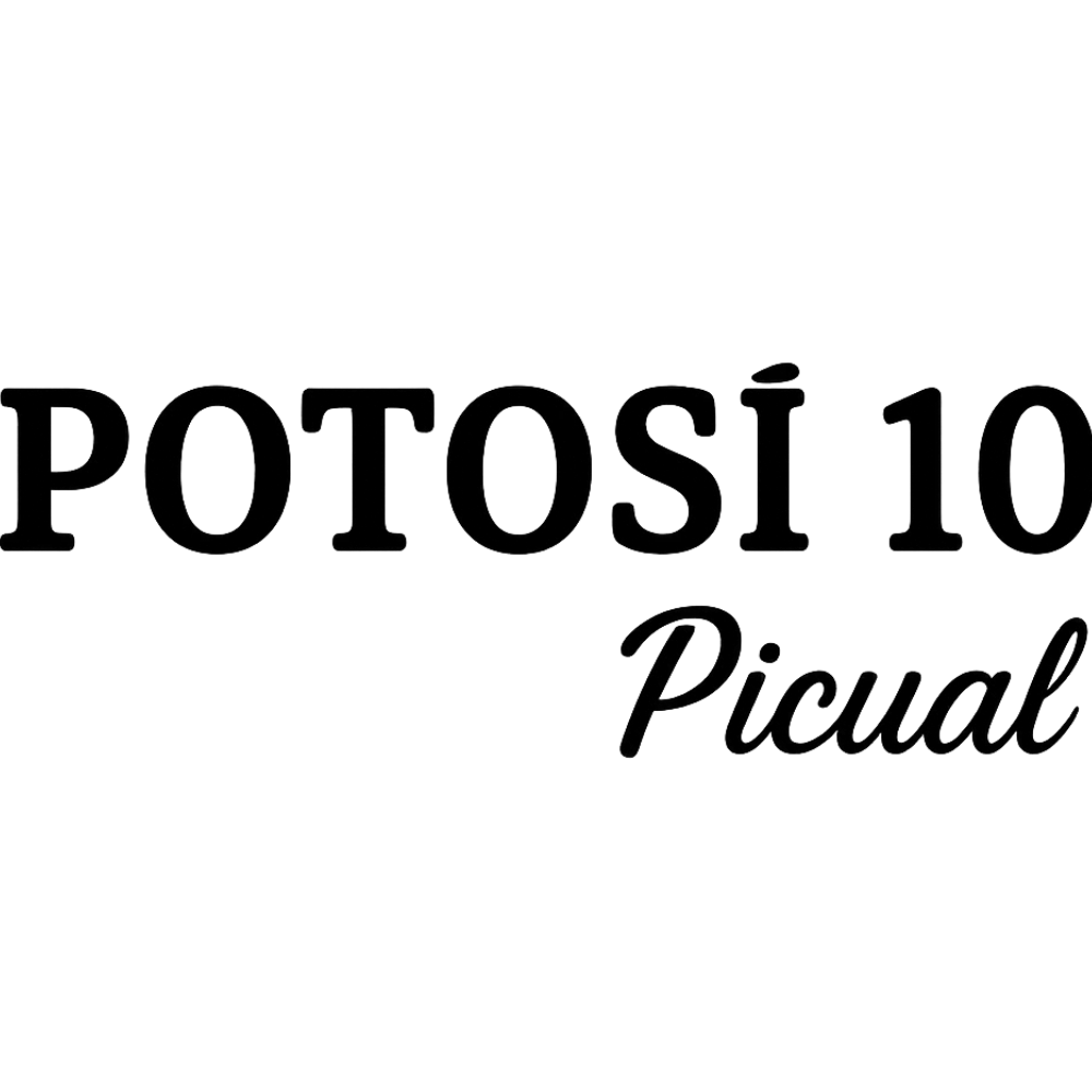Escudo Potosí 10